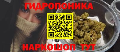 индика Рузаевка